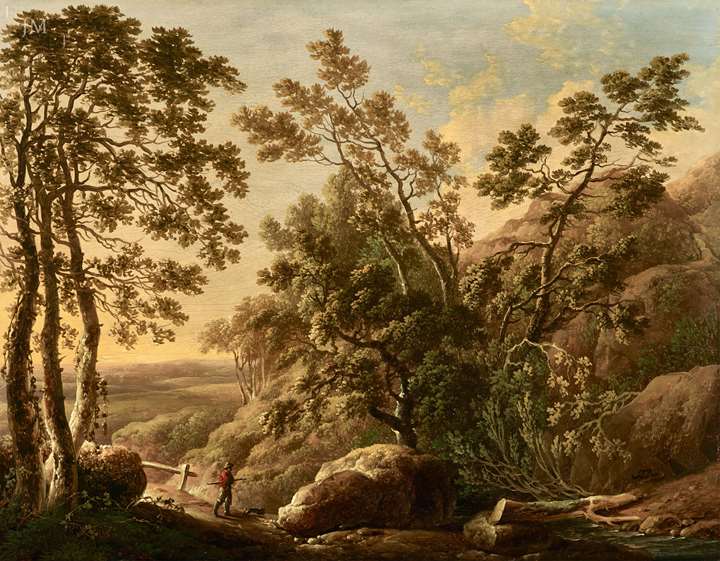 A landscape of Canonteign near Exeter